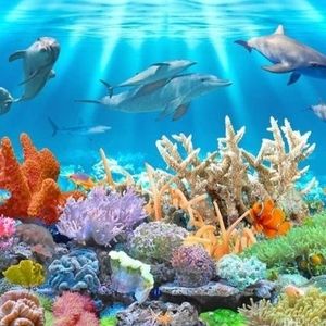 Meet your Posher, Adrian